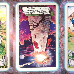 Seeds of Abundance
