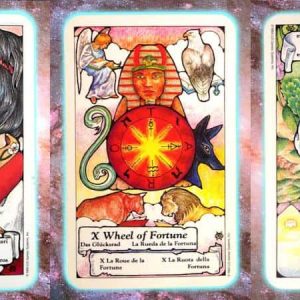 Bring Your Light, Meet Your World